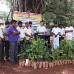  ಪಾಣಾಜೆ ಗ್ರಾಮದಲ್ಲಿ ಕೋಟಿ ವೃಕ್ಷ ಆಂದೋಲನ