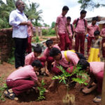 ಬೆಟ್ಟಂಪಾಡಿಯಲ್ಲಿ ಕೋಟಿ ವೃಕ್ಷ ಅಭಿಯಾನ