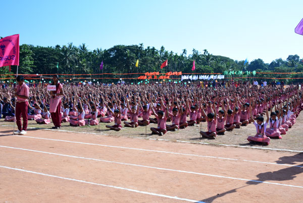 Vems-Sports day 2017 (3)